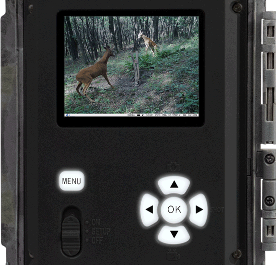 ICUserver 3G Wildlife Camera (3G GPRS GSM), caméra de sécurité, PHOTOAPP,  caméra de