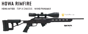 HOWA M1100 RIMFIRE PRECISION RIFLE .22LR TSPX WITH PANAMAX SCOPE