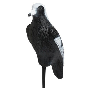 OO Decoy Magpie White and Black Each