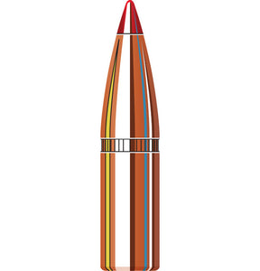 HORNADY 6MM 95GR SST