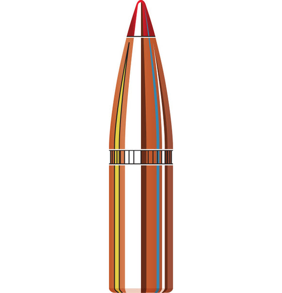 HORNADY 6MM 95GR SST